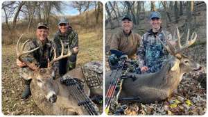 Web collage IMG 3999