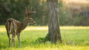 Web hero john hafner archive 50048