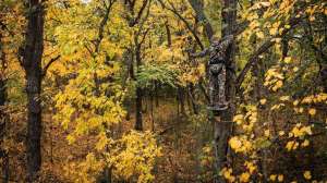 Web lead pic Stand 4