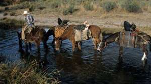 West elk planning lead 181003 155025