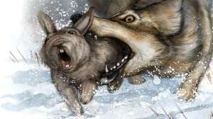 Why do they scream lead 181003 155805