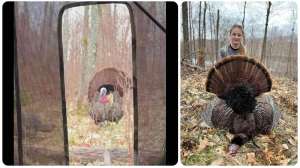 Wild turkey 5 yards shotgun collage