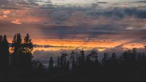 Wilderness deer hunt beauty