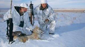 Windy weather coyote hunting lead 181003 155832