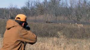 Wj0909 ha2 181003 155447