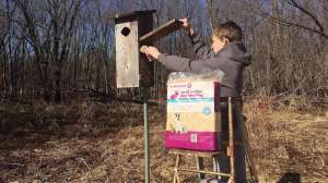 Wood duck house lead