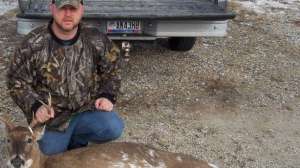 Wt piebald700 181003 160254