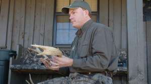 Wt qdmaholdingantler700