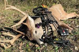 Bowtech Ascend with SD buck
