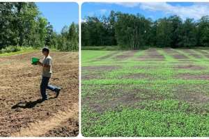 Collage 2 food plot mistakes