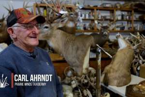 Prairie Winds Taxidermy