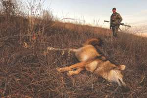 Lessons Learned Skills Acquired 3