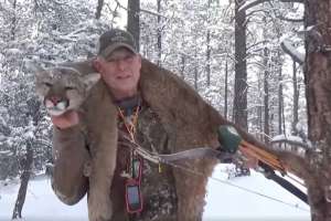 Eichler mountain lion