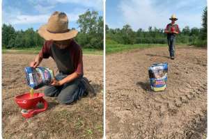 Collage planting seed red seeder