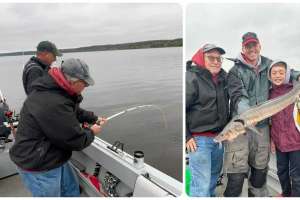 Capecchi sturgeon video