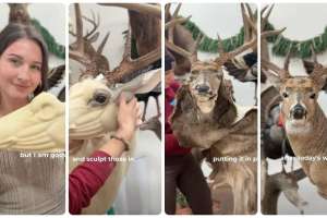Ashley Eve deer mount video