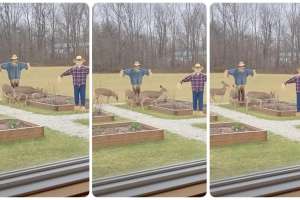Scarecrow collage with deer