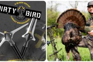 Collage G5 Dirty Bird