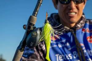 Chatter Bait Results lead pic