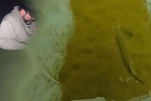 Clayton sight fishing pike