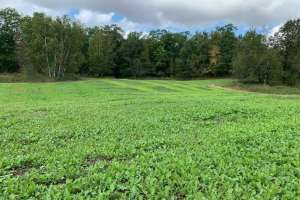 Resize Countdown foreground on 9 21