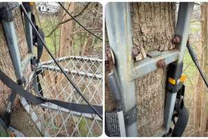 Collage treestand safety straps