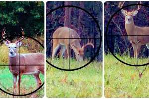 Aim quartering toward deer