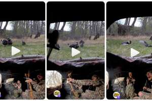 Collage wild turkey double shotgun and recurve