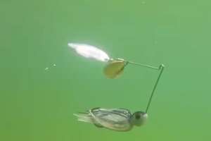 Spinnerbait under water