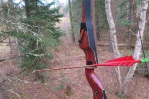 BWCA2 web