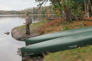 BWCA1 web