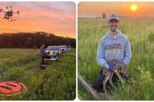 Fawn study with drones