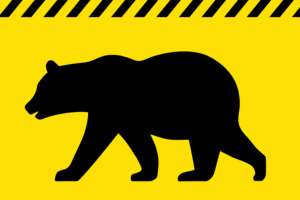 Hunter Kills Charging Grizzly Saves Himself and Young Son