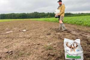 Web planting destination seed