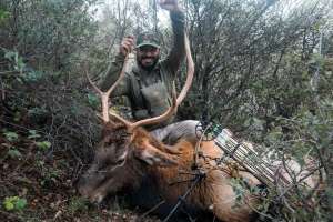 Web The author was fortunate to put an arrow through this raghorn bull on the tenth day of his season after a lot of patience and persistence