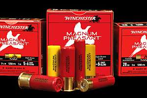 Winchester Pheasant Magnum