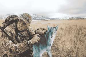 Killer Coyote Calling Strategies 1