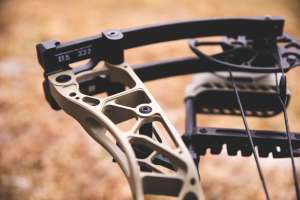 Web Hoyt riser geometry