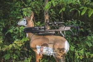 Ravin R10 X Pro with target
