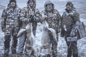 The Last Stand Coyote Class Does Online Training Translate to More Fur