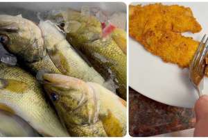Fillet largemouth bass
