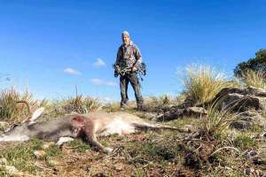 Web BW BROADHEADS PIX 01a