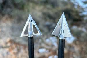 Web BW BROADHEADS PIX 13