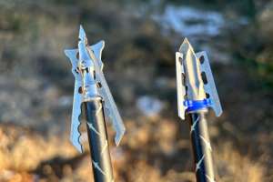 Web BW BROADHEADS PIX 12