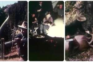 Fred Bear elk hunt 1950s