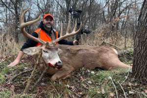 Web Dan1 with WI buck