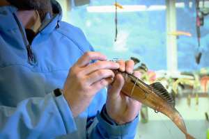 Rubber band method musky