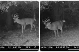 6x5 SD buck not missing meals