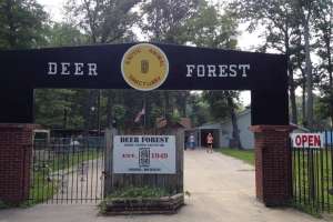 Deer Forest Facebook