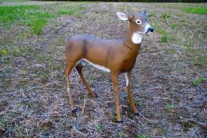 Flambeau Outdoors hunting masters series boss babe 5965 MD Field